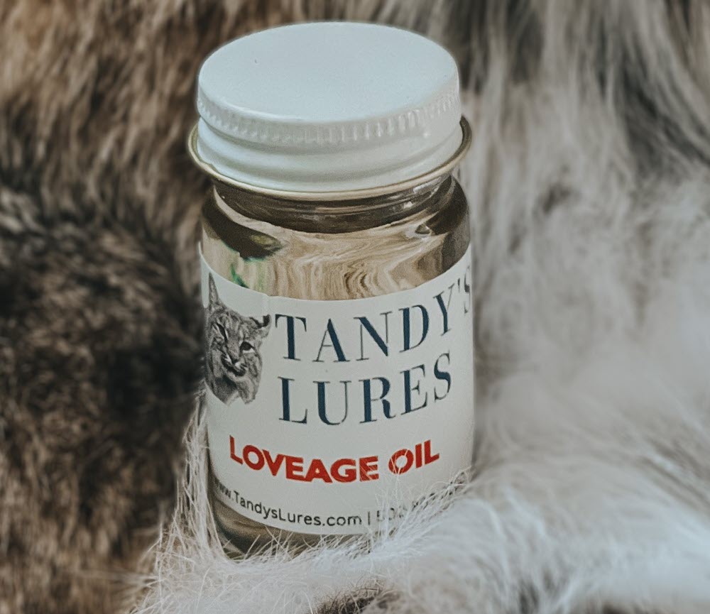 LOVAGE OIL